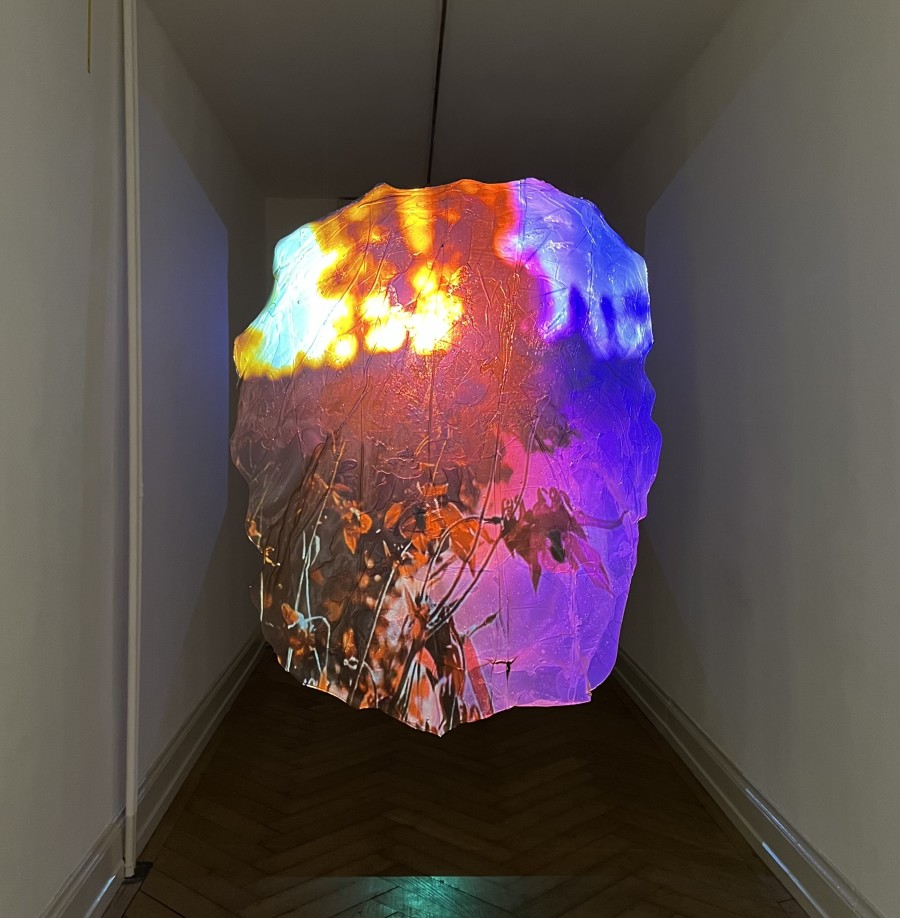 Le Sacre du Printemps, Installation view, Room 5, Victoria Holdt, Fractal reminders, 2024, Photo: Kunsthalle Palazzo