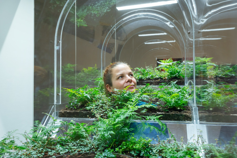 Vaughn Bell, Growing Hills, 2021, Acrylic glass, stainless steel, substrate and plants, Photo: Franca Candrian, Kunsthaus Zürich © Vaughn Bell