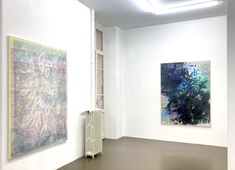 Installation view, Maureen Kaegi, Song of Increase, Galerie Mezzanin, 2023-2024.