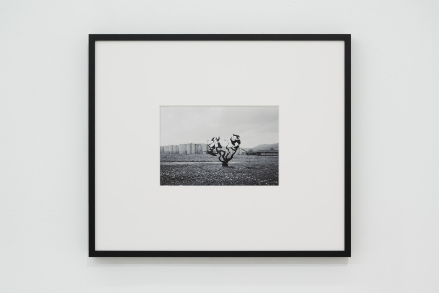 View of Untitled (“Phénix” by Georges Schneider, Delémont) 1960, Inkjet print on paper, 2026, 32 x 38 cm, framed, at Ausstellungsraum Klingental, Basel, 2026 / Photo: Finn Curry / © Maria Netter, SIK- ISEA (Zürich); Courtesy: Fotostiftung Schweiz, Diogo Pinto
