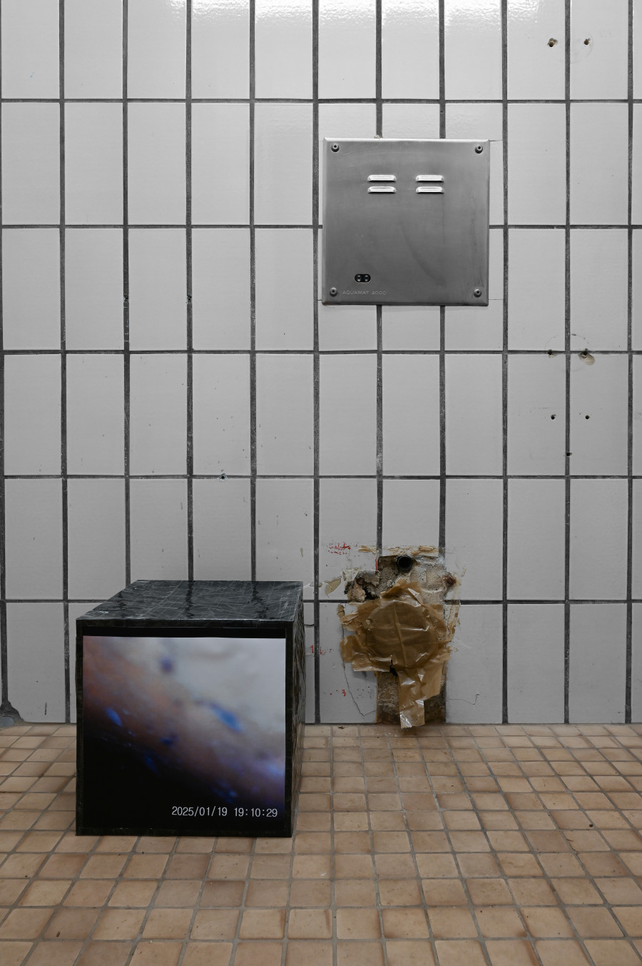 Sean Morel, "Brain in a Pipe Video Stills (277)," no date, 30,48 x 30,48 x 30,48 cm. CAConrad, Jan Domicz, Gina Folly, Germaine Koh, Devin T. Mays, Sean Morel (organized by u), "Brain in a Pipe" at Kaiserwache, Freiburg im Breisgau, 2026. Images courtesy of the artists and Kaiserwache. Photo: Stefan Lux.