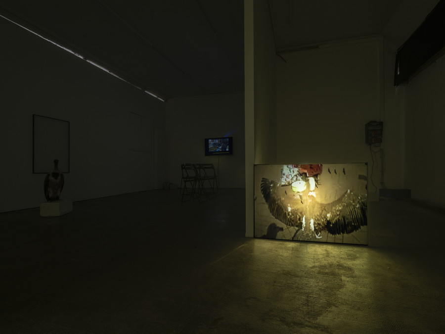 Installation view, Roman Selim Khereddine, Hard-Won Images 2, Tunnel Tunnel, 2022. Photo: Julien Gremaud