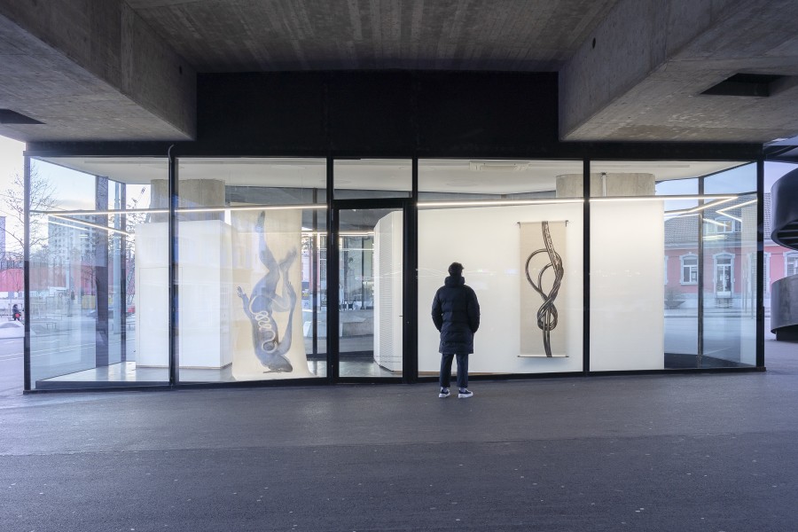 Carlotta Bailly-Borg, Family Affair, 2022. Installation view, VITRINE, Basel. Photographer Marcel Scheible.