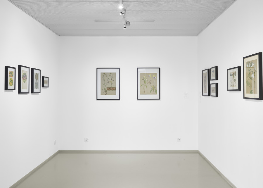 Exhibition view, Sortir du bois. À la lisière du Style sapin, Musée des Beaux-Arts la Chaux-de-Fonds, 2022. Photographie: Gaspard Gigon