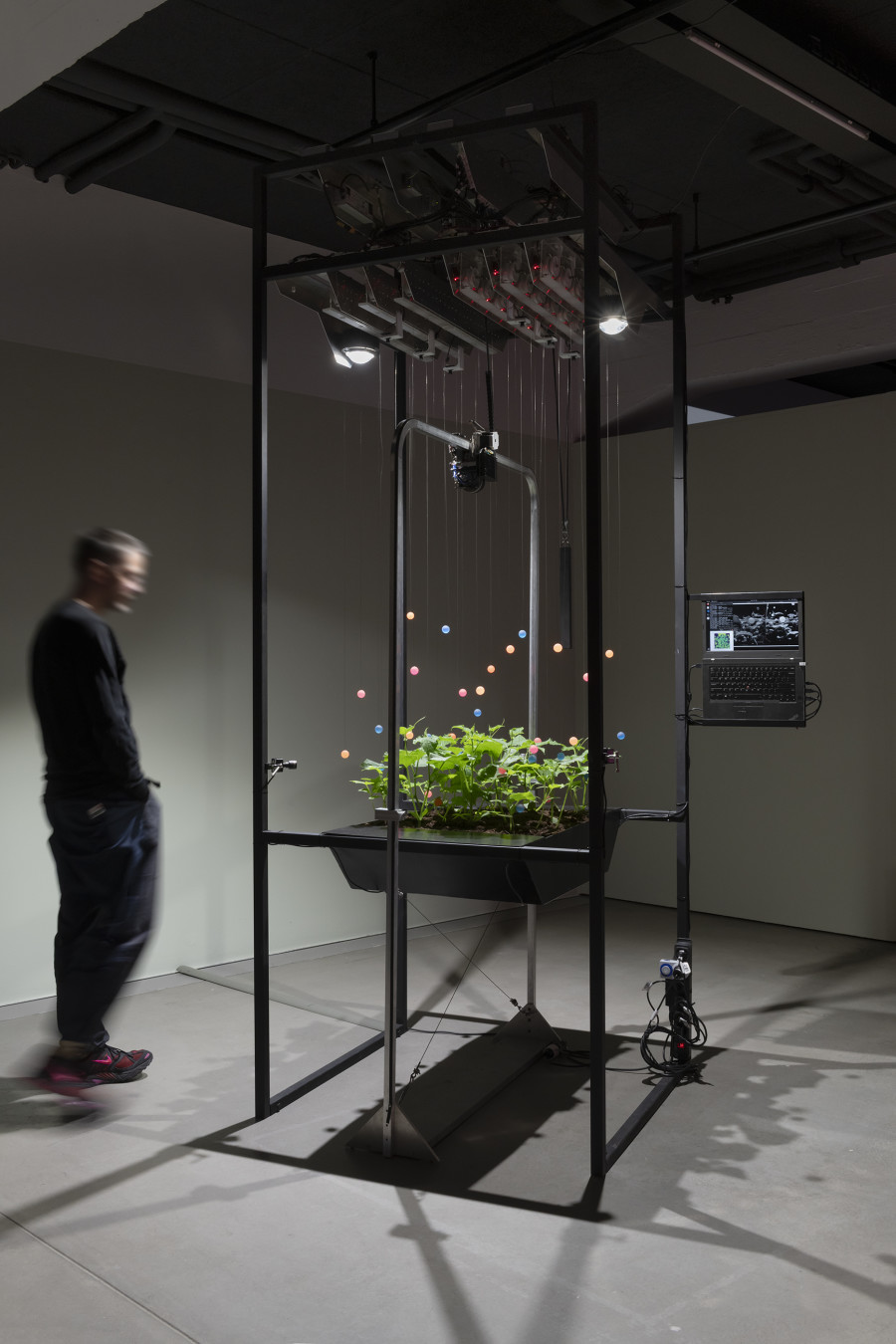 Špela Petrič, PL’AI, 2020, «Other Intelligences», 2025, HEK, photo: Franz Wamhof