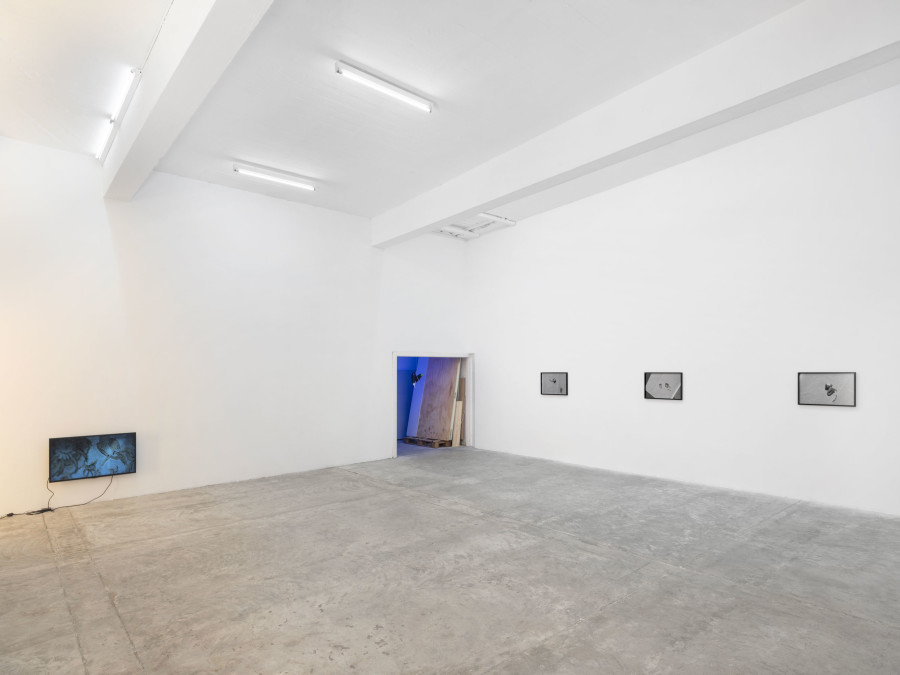 Installation view at CIRCUIT, Centre d’Art Contemporain, Lausanne. Photo: Julien Gremaud. Courtesy the artist and CIRCUIT