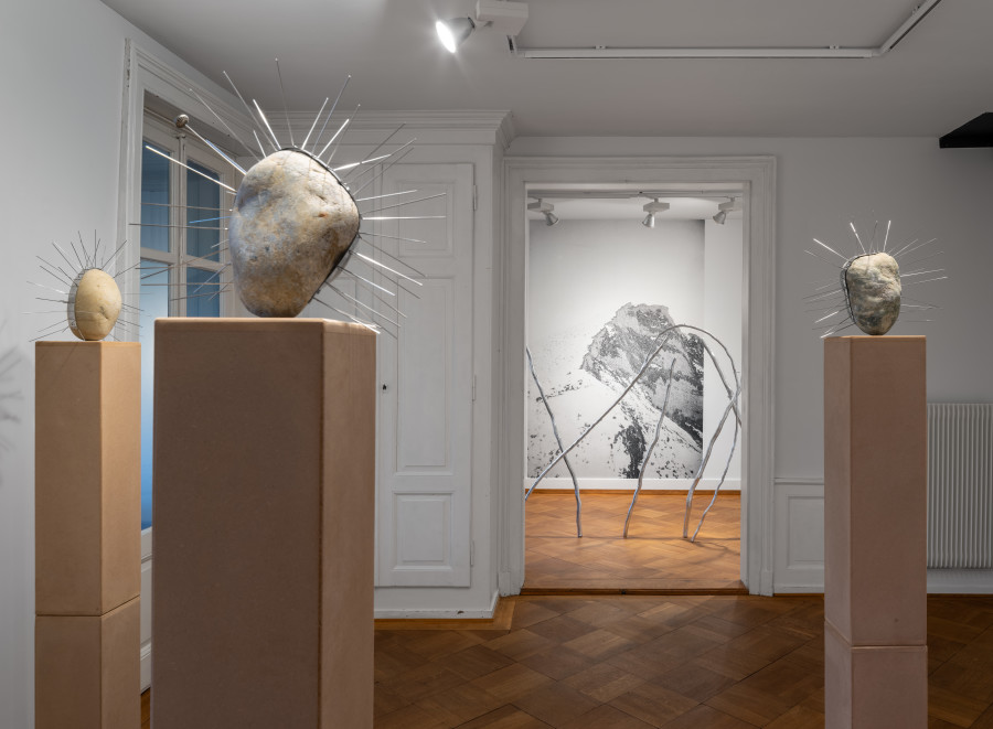 Exhibition view, Manuela Morales Délano, Nachbarn, Kendra Jayne Patrick, Bern, 2025.