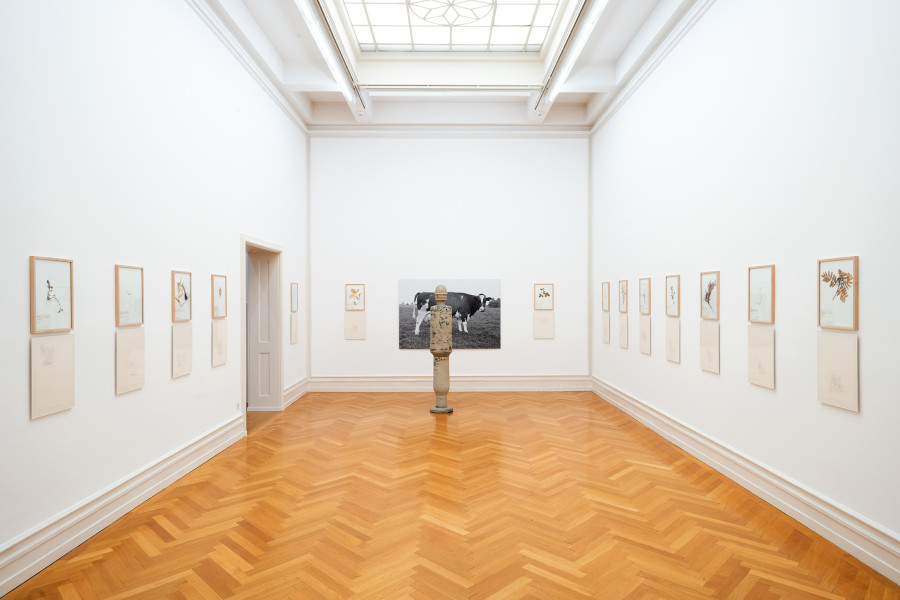 Exhibition view, Jef Geys, Kunsthalle Bern, 2021. Photo: Stefan Burger