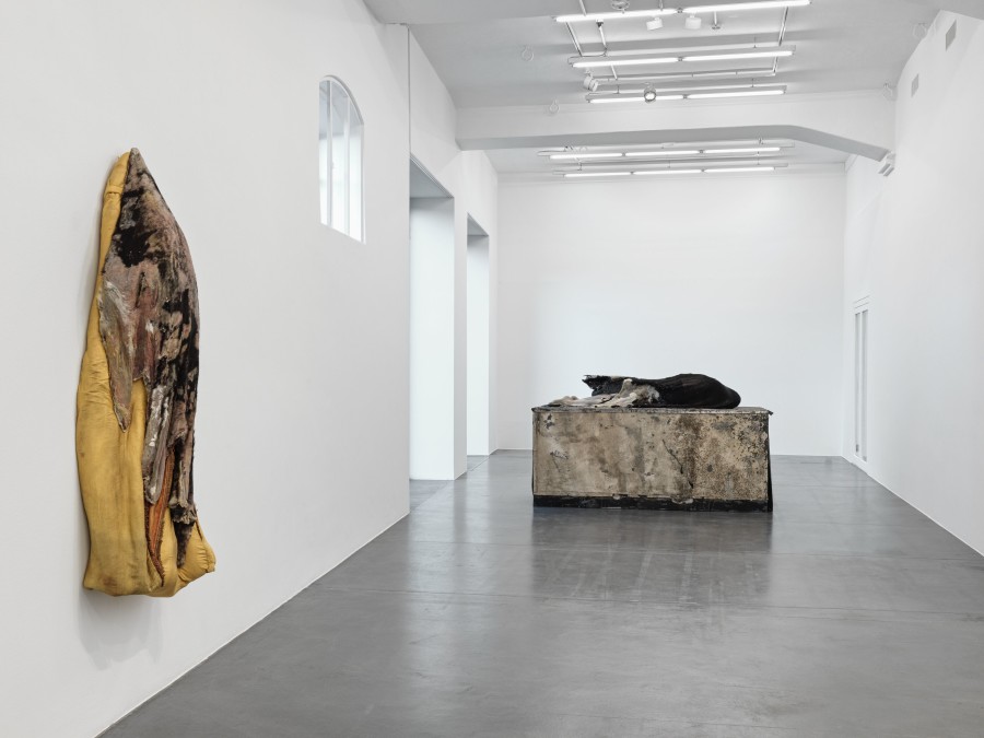 Installation view, ‘Berlinde De Bruyckere. A simple prophecy’, Hauser & Wirth Zurich, Limmatstrasse, 26 January until 13 May 2023 © Berlinde De Bruyckere. Courtesy the artist and Hauser & Wirth. Photo: Stefan Altenburger Photography Zürich