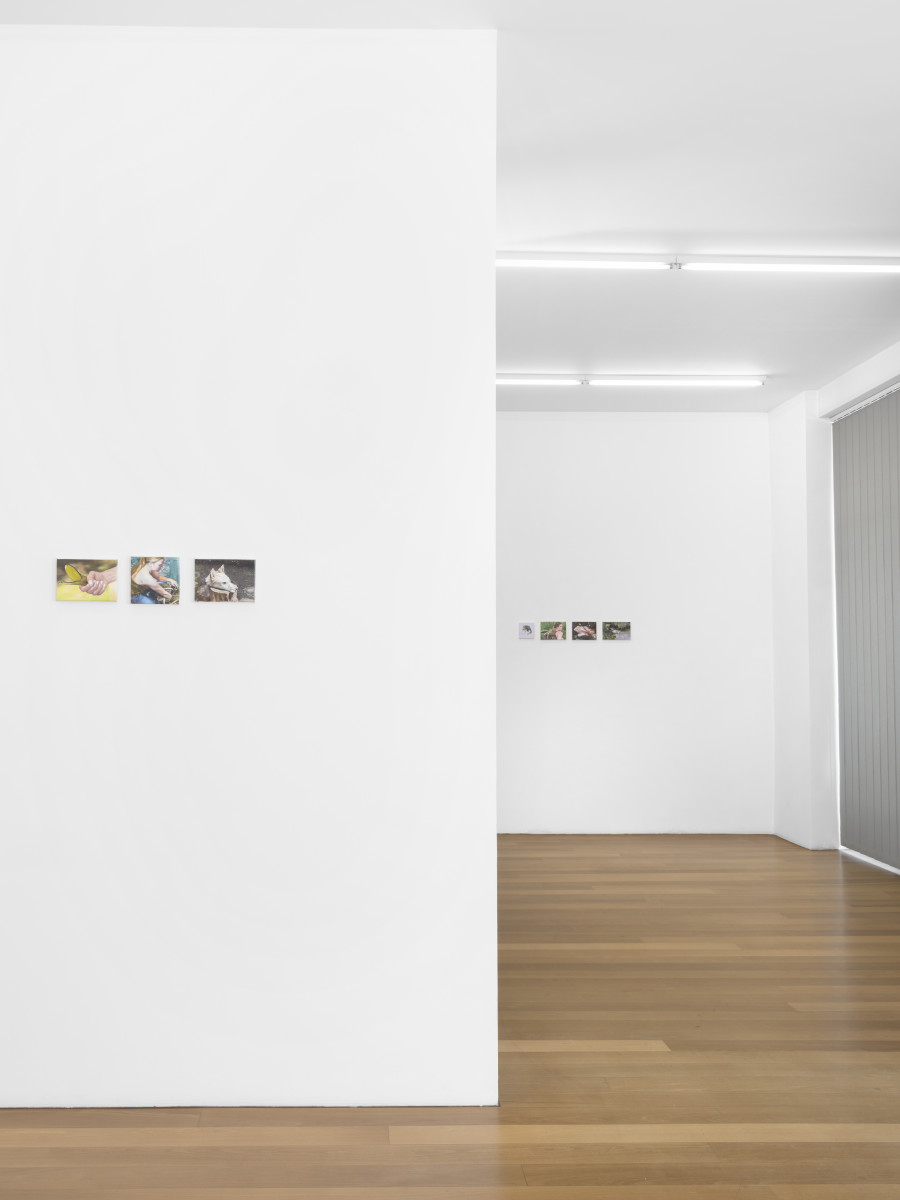 Exhibition view, Robert Devriendt, The Missing Script 4. Exit Highway, xippas, 2022. Photo credit: Julien Gremaud