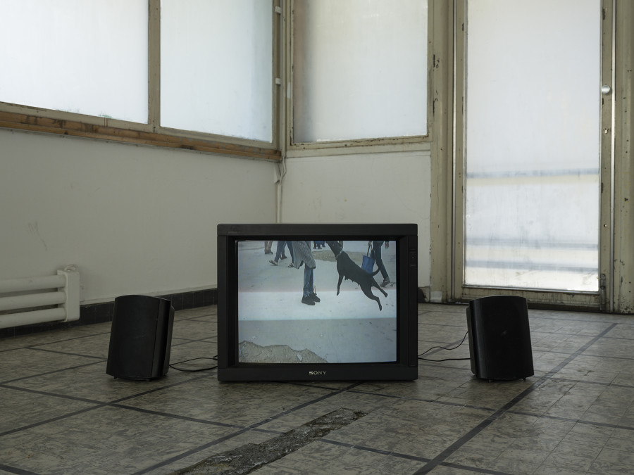 Installation view, Roman Selim Khereddine, Hard-Won Images 2, Tunnel Tunnel, 2022. Photo: Julien Gremaud