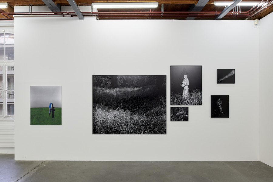 Exhibition view, Cécile Monnier, des nuits sans silence, Kunsthalle Friart Fribourg, 2022/23. Photo : Guillaume Python