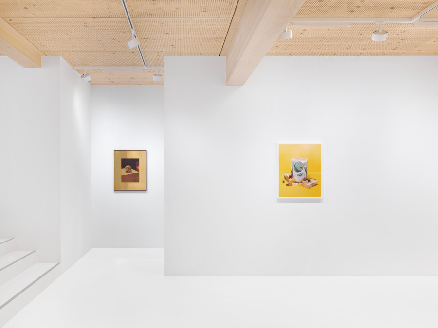 Roe Ethridge, Happy Birthday Louise Parker II, 2024, installation view. Artwork © Roe Ethridge. Photo: Annik Wetter. Courtesy Gagosian