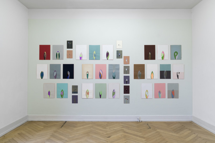 Regionale 24, installation view, room 4, Mireille Gros, Plantes planétaires, 2023, Photo: Nina Rieben.