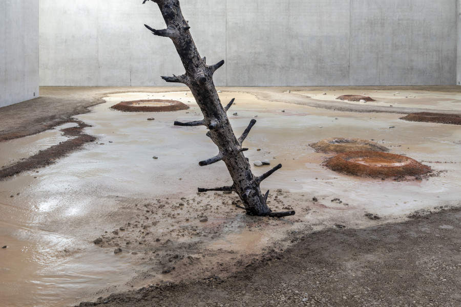 Otobong Nkanga, Unearthed – Sunlight, 2021. Installation view third floor Kunsthaus Bregenz, 2021. Photo: Markus Tretter. Courtesy of the artist © Otobong Nkanga, Kunsthaus Bregenz