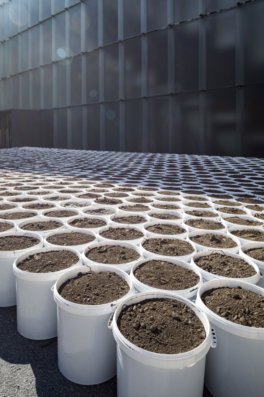 Lois Weinberger. Installation view KUB Square, Kunsthaus Bregenz 2021. Mobile Garden, 1994/2021. Photo: Markus Tretter. Courtesy of the artist. © Studio Lois Weinberger, Kunsthaus Bregenz