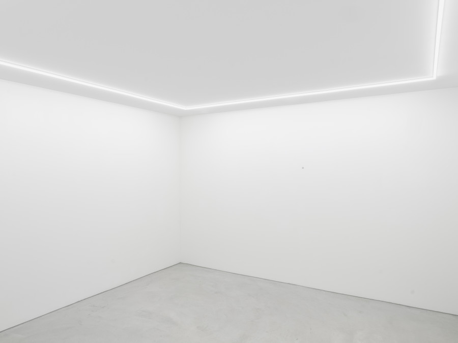 Installation view, Sanna Helena Berger, Nicht-nur-Spekulativ, Galerie Philippzollinger, 2024.