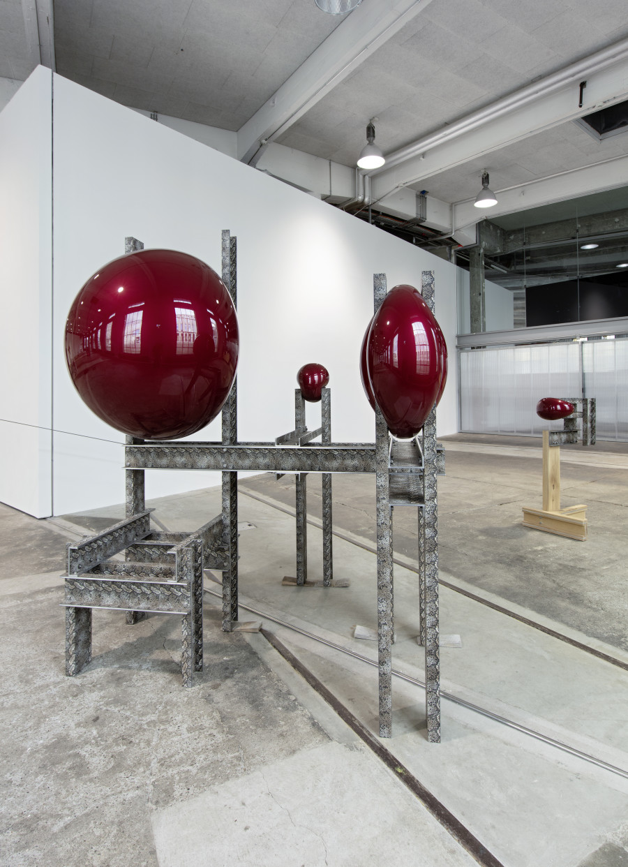 Siobhán Hapaska, Installation view, Lokremise St.Gallen, Photo: Stefan Rohner