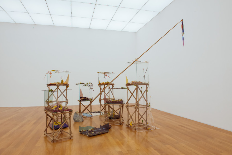 Exhibition view, Parliament of Plants, Kunstmuseum Liechtenstein. Photo: Sandra Maier. © Kunstmuseum Liechtenstein.