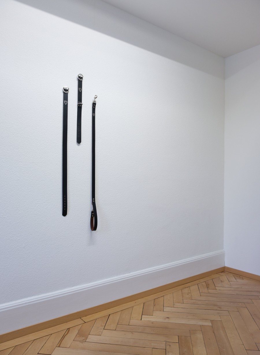 Sissybars: Lukas Weithas, Installation views, 2023-2024, BELETAGE Art Space. Photo: Matthias Guido Braudisch, courtesy BELETAGE Art Space, Zürich