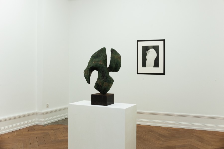 Robert Mapplethorpe and Sōfū Teshigahara: MAPPLETHORPE / TESHIGAHARA, Exhibition view, 2023, Mai 36 Galerie.