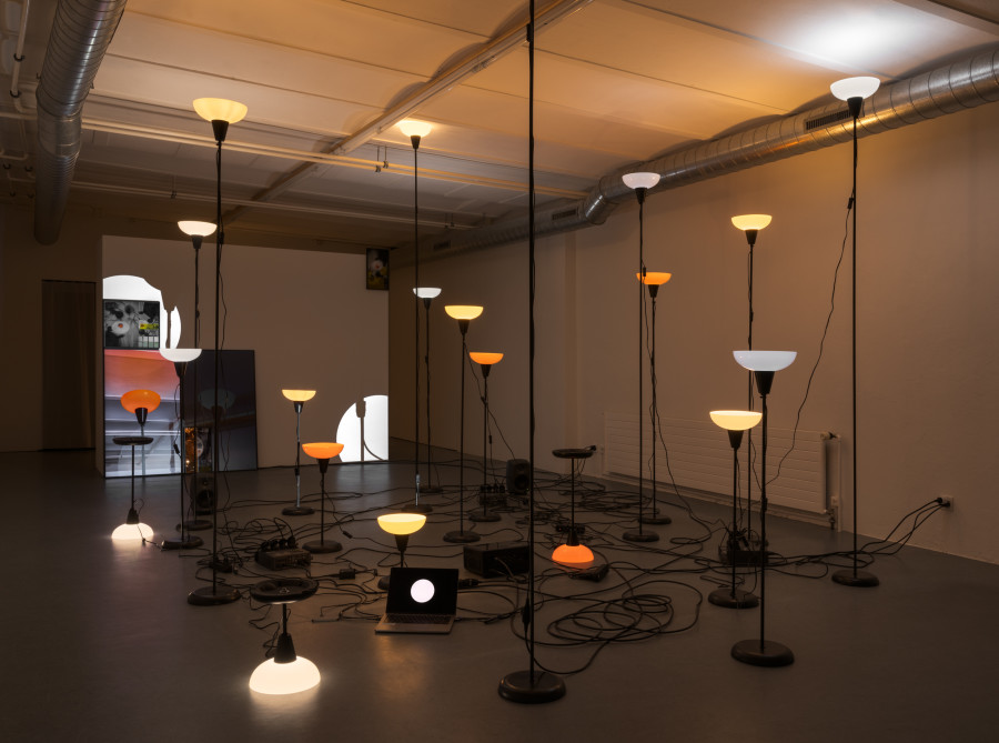 Exhibition view, Daria Blum, HOME SCREEN, 2026. Photo credits: Julian Blum