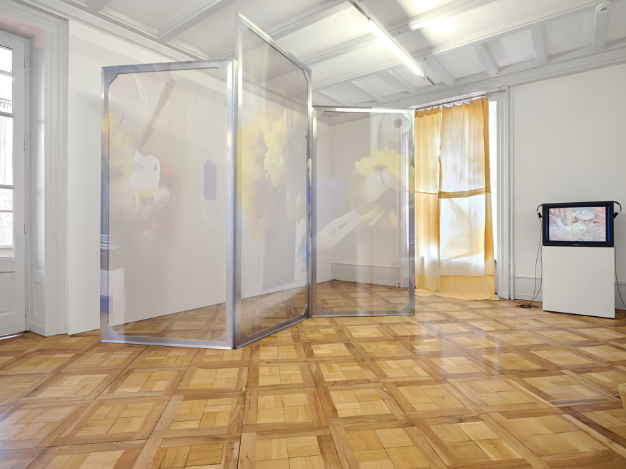 Exhibition View, ‘Stitches: A Haunted House and Other Ghost Stories’ at the Villa Bernasconi, 2026 / Photo by Nicolas Delaroche Studio. From left to right and front to back: Dorota Gawęda & Eglė Kulbokaitė, Enclosure (Haunting Seasons) I, III, II, 2023, aluminum, wood, digital printing on rag, 3 panels. Li Tavor, Bright Curtains I, II, III, 2025, pigmented latex curtains, aluminum, carabiners. Heidi Bucher: Bellevue – Kreuzlingen, 1990, directed by Michael Koechlin, digitized 16 mm film, 9 min., color, sound, Courtesy of The Estate of Heidi Bucher, Indigo Bucher & Mayo Bucher