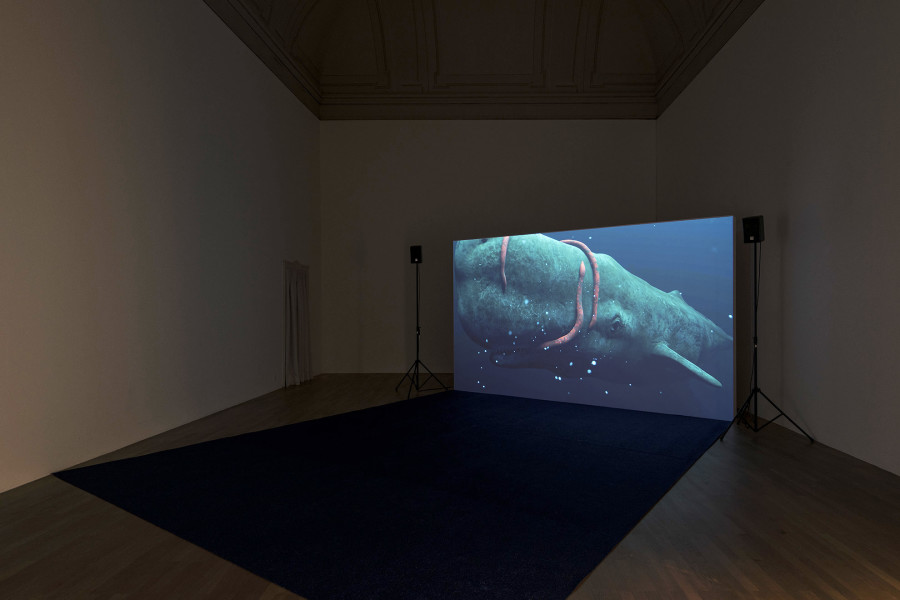 Sarah Hablützel & Marko Mijatovic, Exhibition view, 2023, Kunsthalle Winterthur.