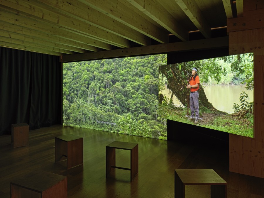 Exhibition view, Parliament of Plants II, Kunstmuseum Liechtenstein, Vaduz, 05.05.–22.10.2023, Photo: Stefan Altenburger Photography, Zürich.