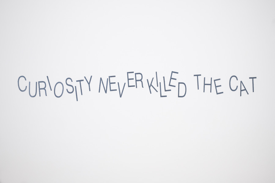 Exhibition view, Niels Hung, Curiosity Never Killed The Cat, Société des Arts de Genève, 2026.