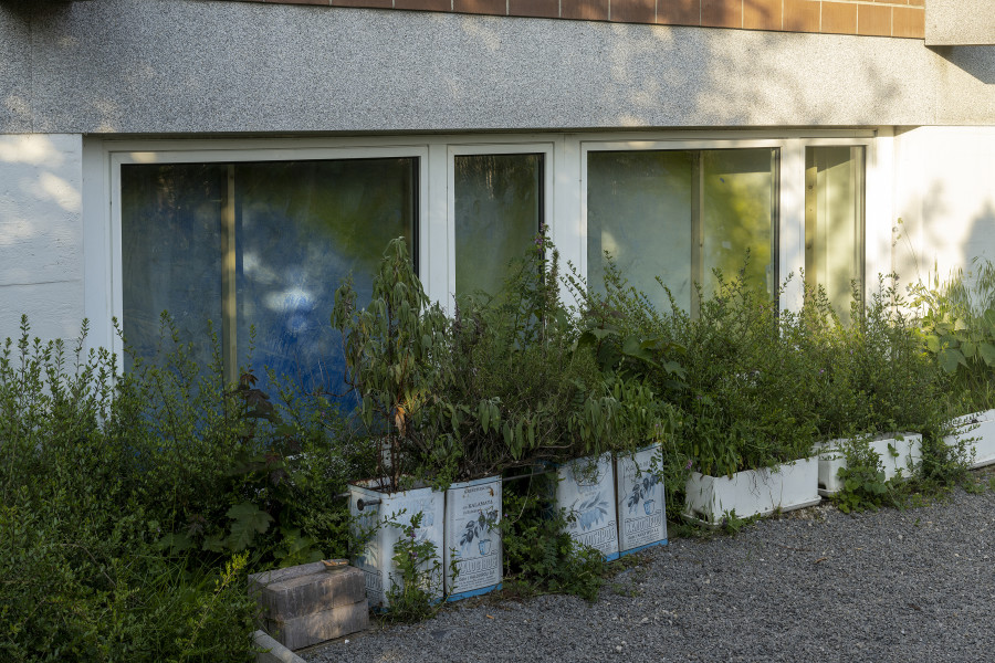 Light Sleeper, Installation view from the garden