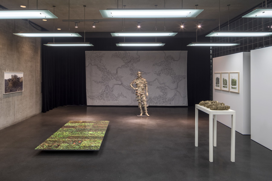 Lois Weinberger. Installation view KUB Basement, Kunsthaus Bregenz 2021. Invasion, 2013. Photo: Markus Tretter. Courtesy of the artist. © Studio Lois Weinberger, Kunsthaus Bregenz