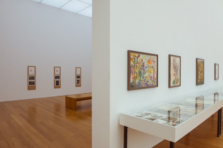 Exhibition view, Parliament of Plants, Kunstmuseum Liechtenstein. Photo: Sandra Maier. © Kunstmuseum Liechtenstein.