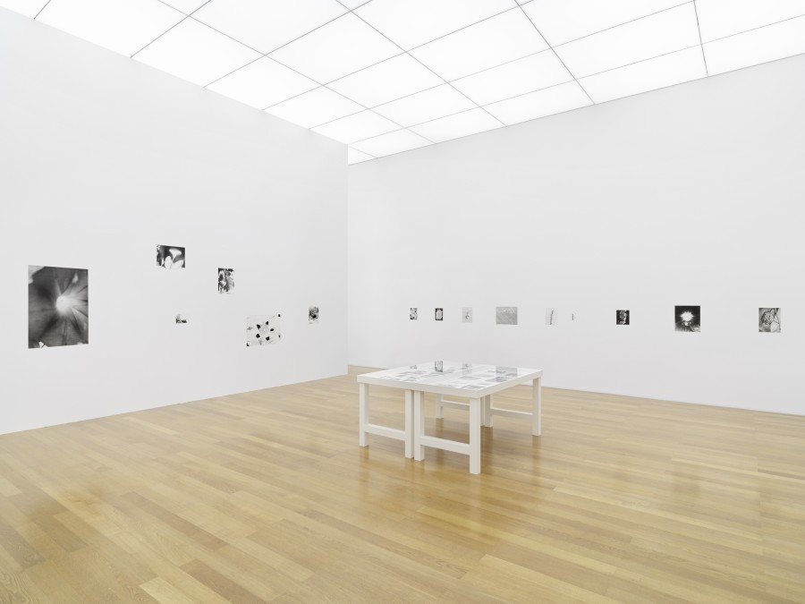 Exhibition view, Parliament of Plants II, Kunstmuseum Liechtenstein, Vaduz, 05.05.–22.10.2023, Photo: Stefan Altenburger Photography, Zürich.