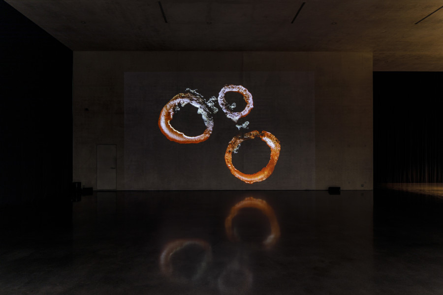 Solange Pessoa, Delongas, 2023, Installation view ground floor Kunsthaus Bregenz, 2023. Photo: Markus Tretter. Courtesy of the artist © Solange Pessoa, Kunsthaus Bregenz