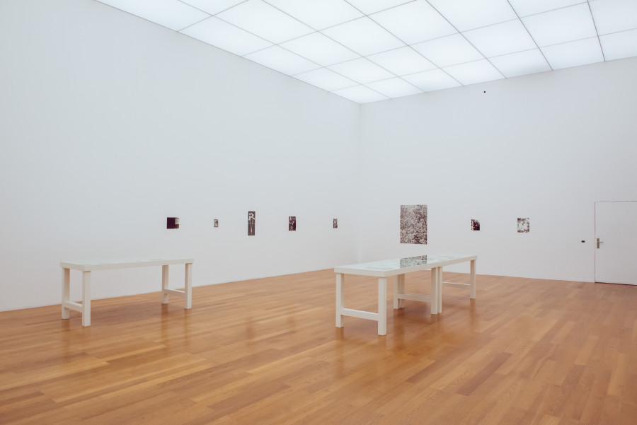 Exhibition view, Parliament of Plants, Kunstmuseum Liechtenstein. Photo: Sandra Maier. © Kunstmuseum Liechtenstein.