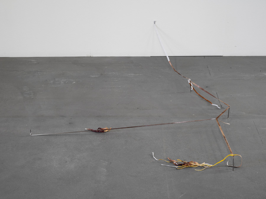 Olga Balema, 40 (2025), installation view, The bizarre space of complex numbers, Kunsthalle Friart Fribourg, 2025. Photo: Cedric Mussano