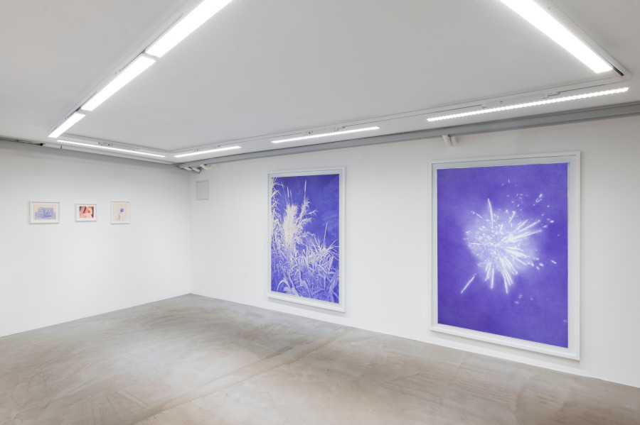 Exhibition view, Robin Wen, Ce que cachait la nuit, Wilde, Geneva, 2025-2026. Photo credits : Studio Eric Bergoend. Courtesy Robin Wen and Wilde