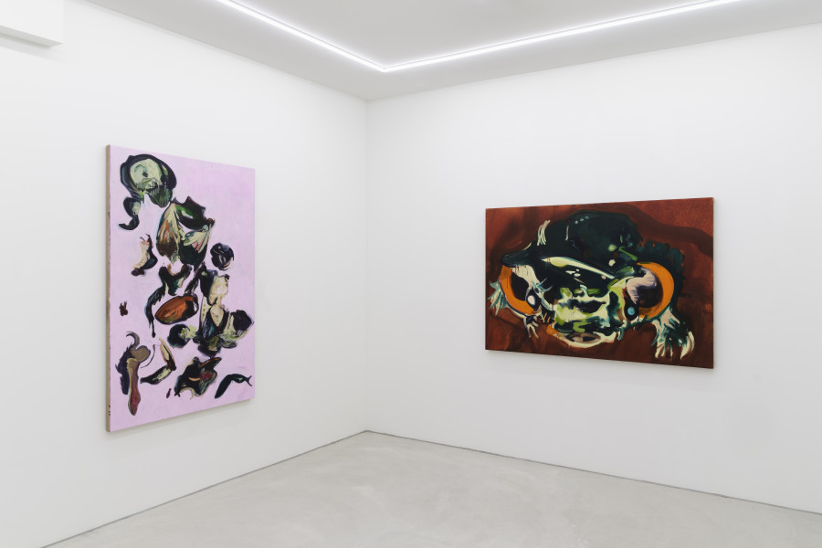 Installation view, Emma McMillan, HARUSPEX, Galerie Philippzollinger, 2024.