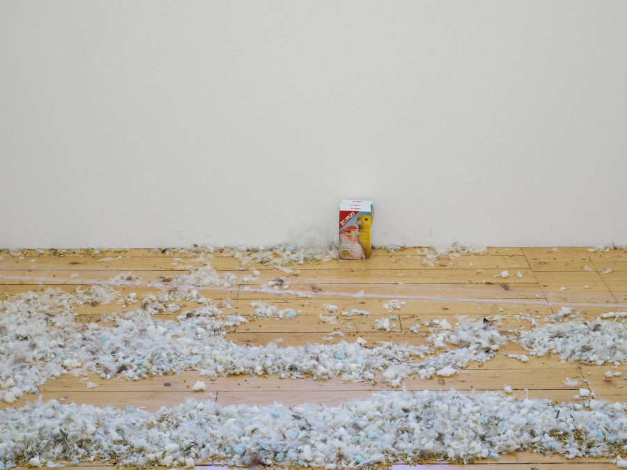 Jason Dodge, installation view, Kunsthalle Friart Fribourg, 2026. Photo: Cedric Mussano