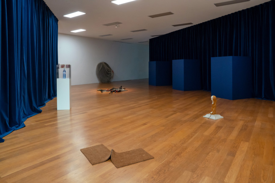 Exhibition view, Artist's Choice: Martina Morger, Are We Dead Yet?, Kunstmuseum Liechtenstein, 2023. Photo: Sandra Maier © Kunstmuseum Liechtenstein