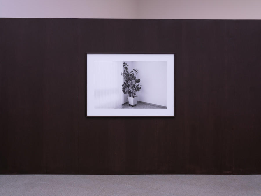 Anita Muçolli — « Navigating Estran- gement », Ausstellungsansicht / vue d’exposition / exhibition view Kunsthaus Biel Centre d’art Bienne 2026; Foto / photo: Lea Kunz