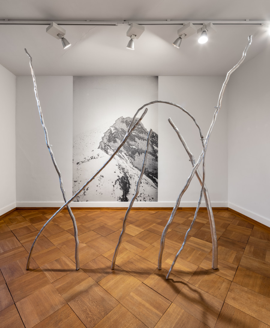 Exhibition view, Manuela Morales Délano, Nachbarn, Kendra Jayne Patrick, Bern, 2025.