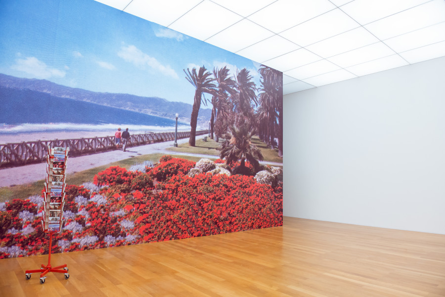 Exhibition view, Parliament of Plants, Kunstmuseum Liechtenstein. Photo: Sandra Maier. © Kunstmuseum Liechtenstein.