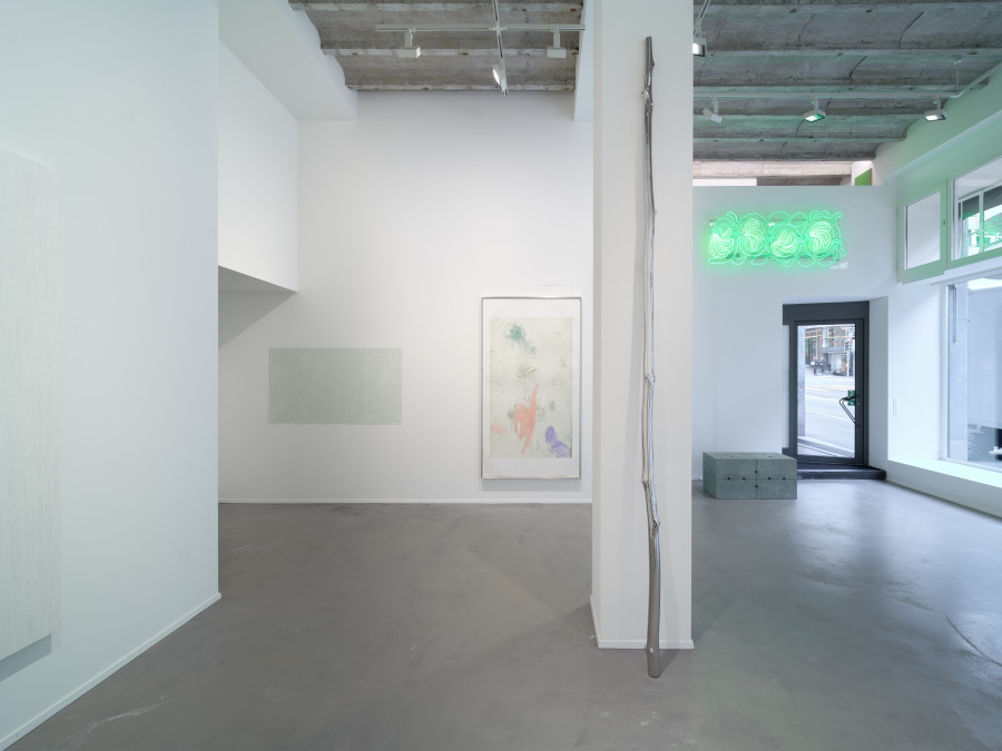 Installation view, Line up, Galerie Tschudi Zürich, Courtesy the artists and Galerie Tschudi, Photo: Max Ehrengruber