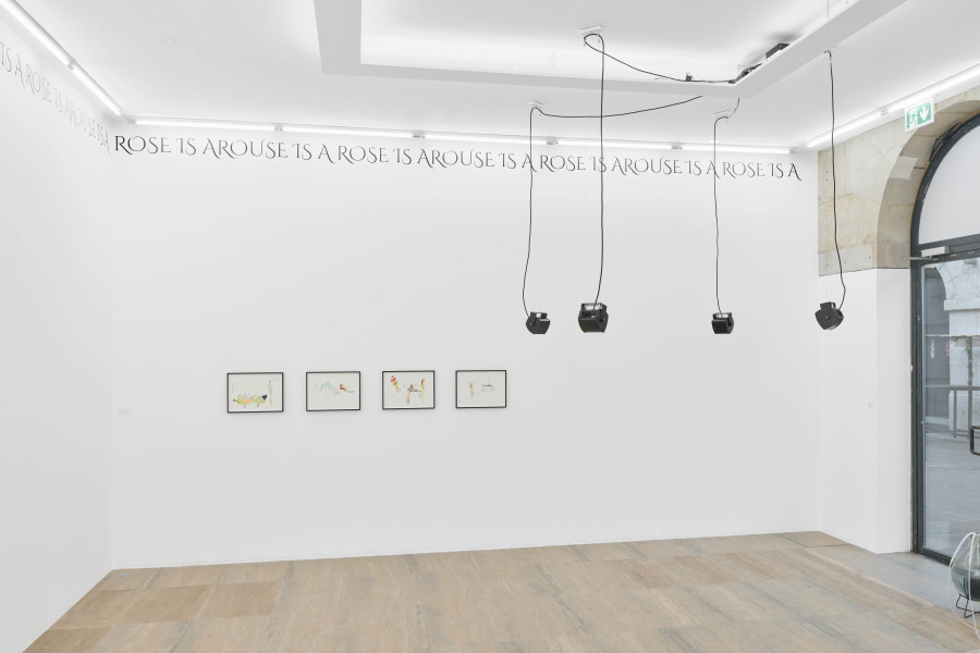 Exhibition view, Jardins Défiants (Defiant Gardens), Halle Nord, Geneva, 2025. Left: Astrit Ismaili, Through and in and out of the Hole, 2023-ongoing. Right: Hanne Lippard, Arouses, 2025. Courtesy of the artist and LambdaLambdaLambda, Pristina. Photo credit: © Thomas Maisonnasse / Halle Nord, 2025