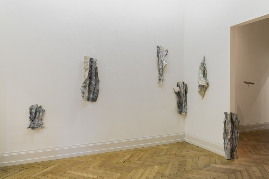 Regionale 24, installation view, room 3, Alexandra vom Endt, SALIX II, 2023, Photo: Nina Rieben.