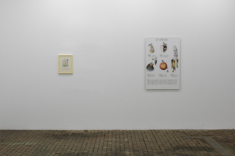 Exhibition view of Scrivere Disegnando. When Language Seeks Its Other at Centre d’Art Contemporain Genève (January 29-May 3, 2020). © Centre d’Art Contemporain Genève. Photo: Mathilda Olmi