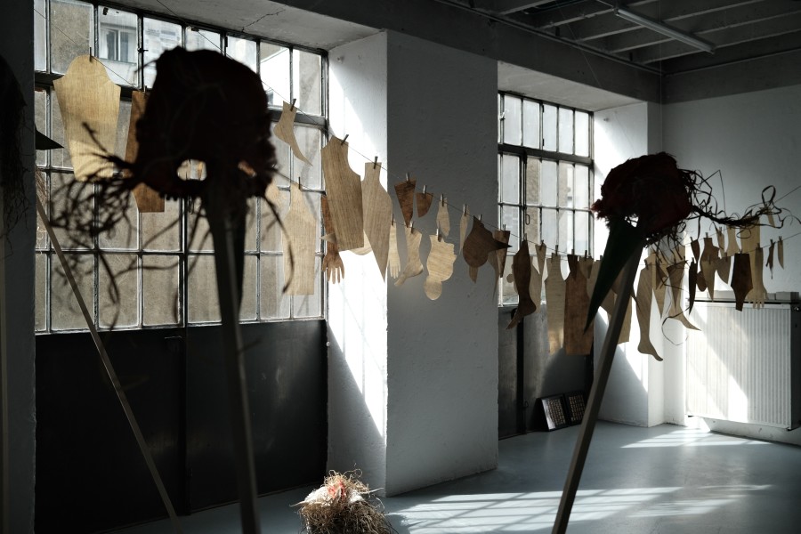 Installation view, Nathalie Bissig, Konus, standard/deluxe, 2023.