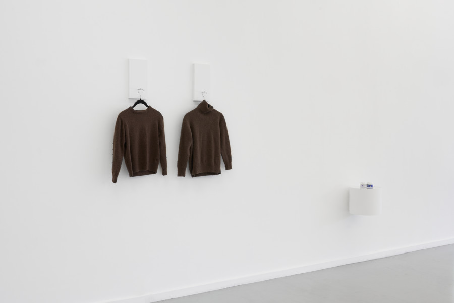 View of the exhibition Costanza Candeloro, Different kinds of wants, CEC, 2025. Photo : Guillaume Python. Courtesy Centre d’édition contemporaine, Geneva